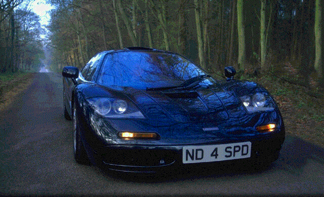 Bitmap Image